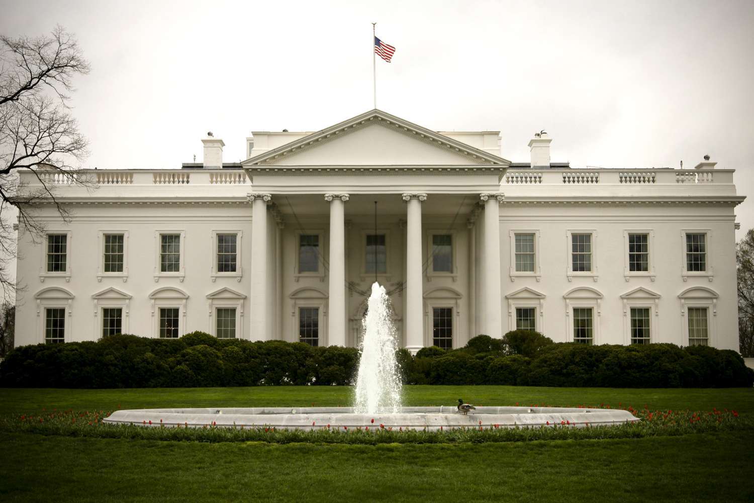 The White House